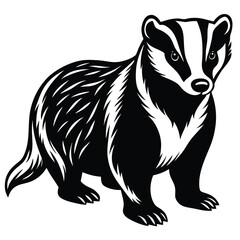 Adobe Illustrator AVector illustration of zorilla isolated on white background. For kids coloring book.rtwork