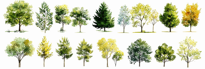 A variety of trees painted, offering a vibrant display of the beauty and diversity of nature. Each tree showcases unique foliage and form, bringing the richness of an outdoor landscape into the scene.