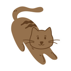 cat cute pet animals, lovely kitten