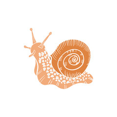 Cute little snail, vector, isolated. Wild animal