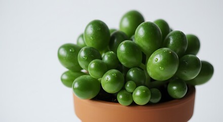Vibrant Green String of Beads Succulent in Terracotta Pot AI Generated