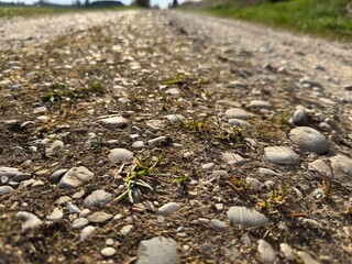 soil