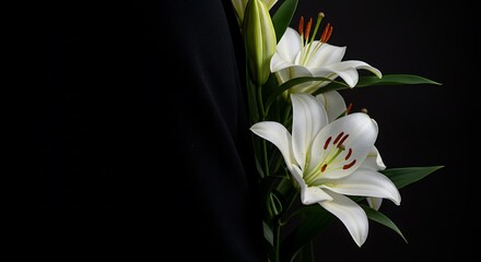 Obraz premium White Lilies: Dark Elegance AI Generated