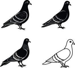 beautiful black pigeon vector silhouette art this is an editable and printable vector eps file
