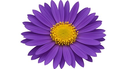 Vibrant Purple Daisy Flower Close-up Studio Shot AI Generated