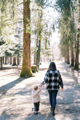 Fototapeta premium Little girl rides a scooter holding her mom hand along the road in a pine forest. Back view