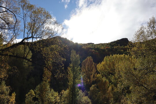Autumn in Arrowtown, New Zealand 