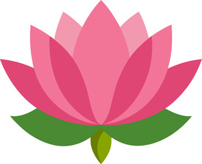 pink lotus flower vector illustration on white background