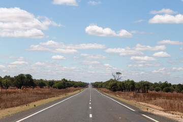 Feral goats roaming near a rural Australian highway, surrounded by native bushland under a clear blue sky