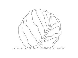 Abstract cabbage, continuous single one line art hand drawing sketch logo