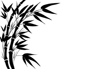Black bamboo silhouette with leaves in a shadows illustration featuring nature design elements.