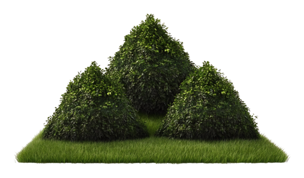 Three Lush Conical Shrubs Nestled on Green Turf. AI Generated
