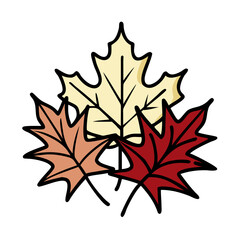 Fototapeta premium Three Autumn Leaves In Different Colors Illustration On Black Background Vector