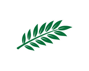 green leaf isolated on white background