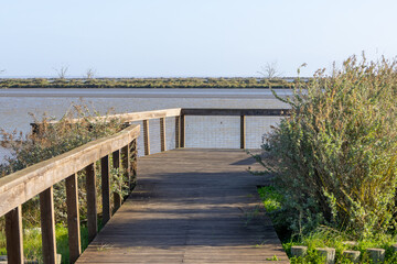Obraz premium Wooden footbridge leading to a viewpoint overlooking a peaceful lagoon