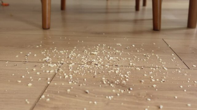 Food crumbs scattered on the floor under a dining table