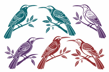 set of Sabrewing bird silhouette vector illustration