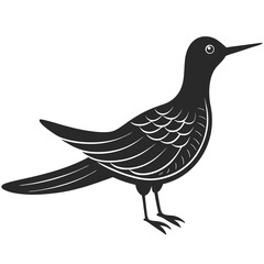 Sabrewing bird silhouette vector illustration