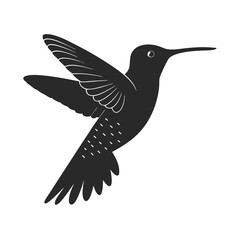 Sabrewing bird silhouette vector illustration