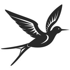 Sabrewing bird silhouette vector illustration