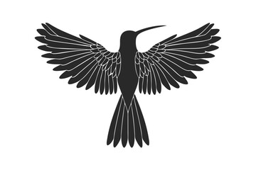 Fototapeta premium Sabrewing bird silhouette vector illustration