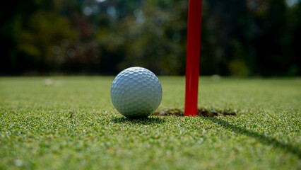 Golf ball on green grass in the evening golf course with sunshine background.