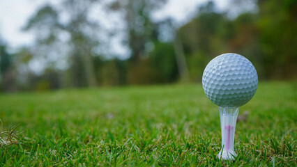 Golf ball on green grass in the evening golf course with sunshine background.