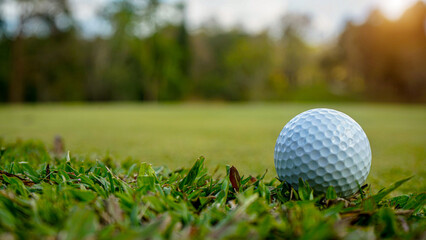 Golf ball on green grass in the evening golf course with sunshine background.