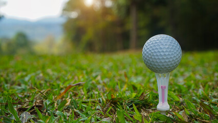 Golf ball on green grass in the evening golf course with sunshine background.