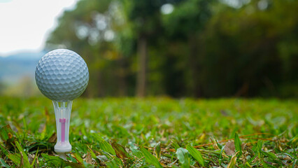 Golf ball on green grass in the evening golf course with sunshine background.