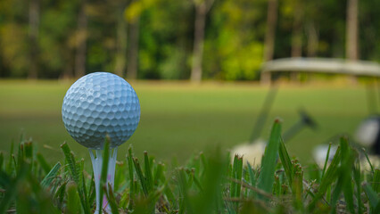 Golf ball on green grass in the evening golf course with sunshine background.