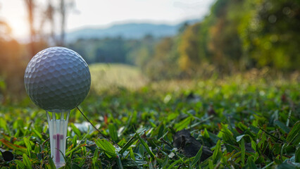 Golf ball on green grass in the evening golf course with sunshine background.