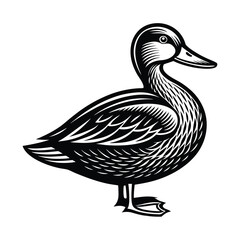 Duck vector isolated on a white background