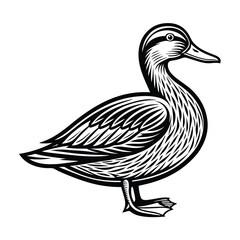 Duck vector isolated on a white background