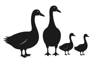 Goose silhouette vector illustration