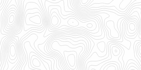 White topography topology vector white background fresh contour map texture. white seamless pattern Abstract background with a wave Topography and geography map grid abstract backdrop.