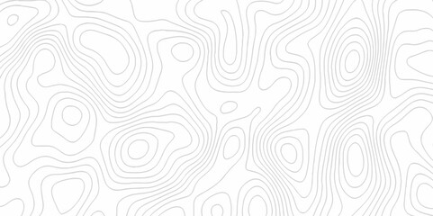 White topography topology vector white background fresh contour map texture. white seamless pattern Abstract background with a wave Topography and geography map grid abstract backdrop.