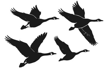 set of Goose silhouette vector illustration