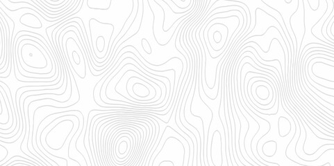 White topography topology vector white background fresh contour map texture. white seamless pattern Abstract background with a wave Topography and geography map grid abstract backdrop.
