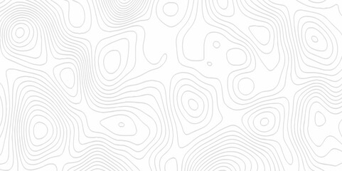 White topography topology vector white background fresh contour map texture. white seamless pattern Abstract background with a wave Topography and geography map grid abstract backdrop.