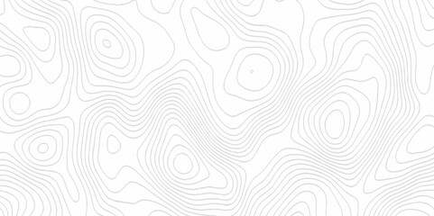 White topography topology vector white background fresh contour map texture. white seamless pattern Abstract background with a wave Topography and geography map grid abstract backdrop.