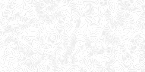 White topography topology vector white background fresh contour map texture. white seamless pattern Abstract background with a wave Topography and geography map grid abstract backdrop.