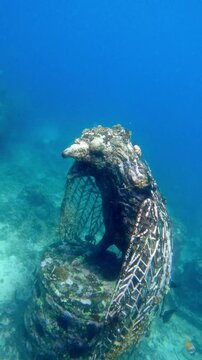 The underwater sculpture near Gili Meno Island, a popular tourist spot for underwater photography