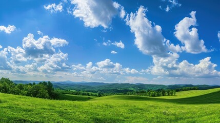 Fototapeta premium A large open field with a blue sky and fluffy clouds landscape