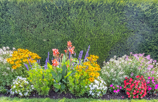 Parterres fleuris derri&egrave;re haie vive
