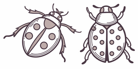 Stylish Vector Ladybug Illustrations for Nature and Insect Lovers