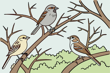 Birds and twigs
