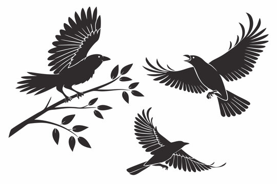 Bird silhouette icon symbol illustration vector set bundle asset template shadow, black, pultry, fly bird editable
