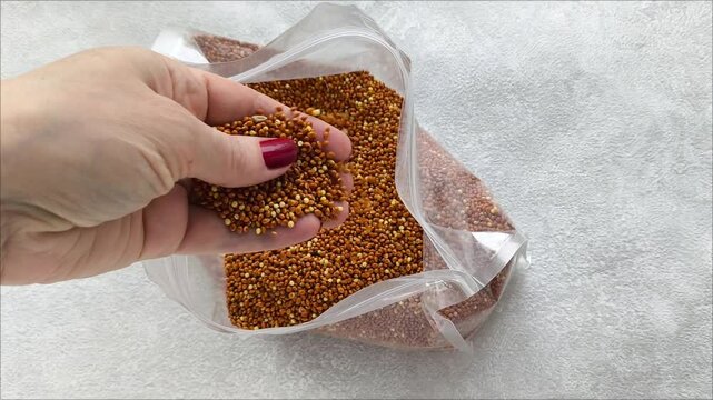 A woman's hand takes red millet from a bag and pours it out. Food. Harvesting of grain. Pet food. Harvesting of grain. Increase in grain prices. 