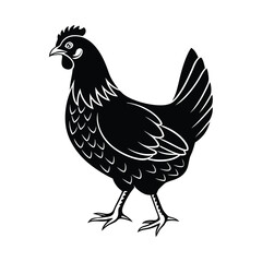 Hen Vector silhouette isolated on a white background